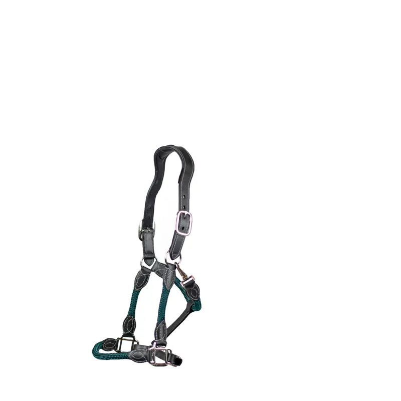 Cameo Anatomic Leather Headcollar in Green